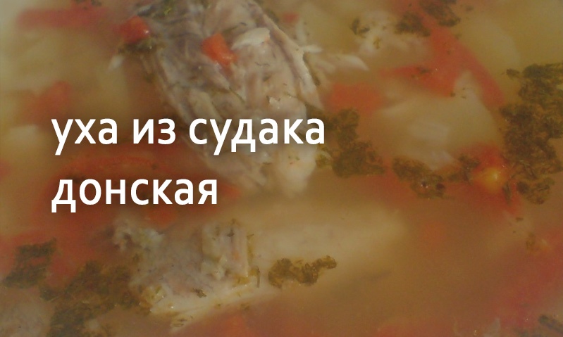 Уха из судака донская