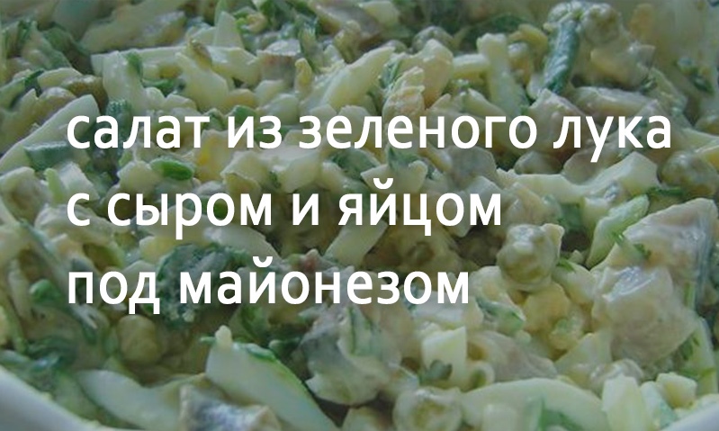 Салат из зеленого лука с сыром и яйцом