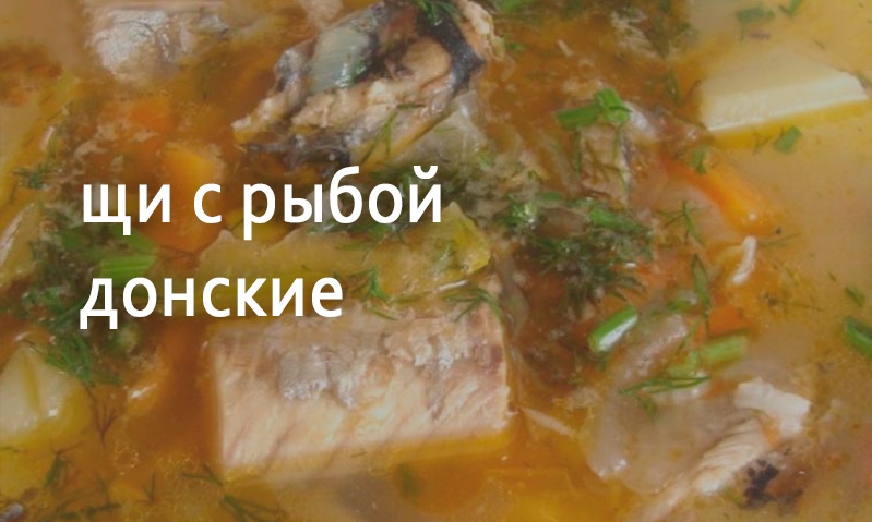 Щи с рыбой донские