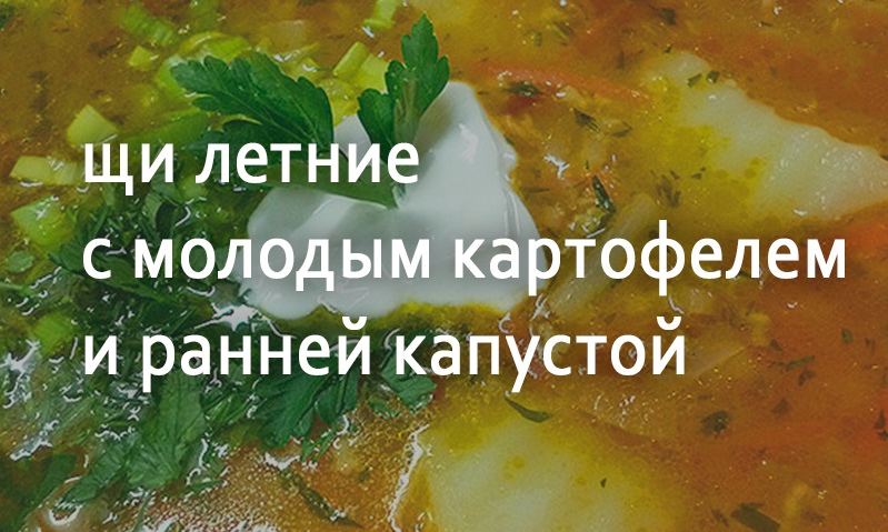 Щи с мясом и молодым картофелем