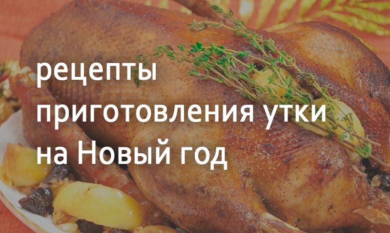 Рецепты блюд из утки на Новый год