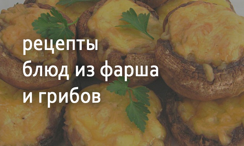 Рецепты блюд из фарша и грибов