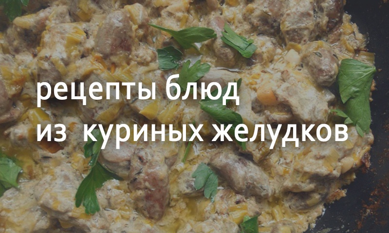 Рецепты блюд из куриных желудочков